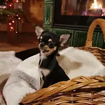 Liptovske Chaty Chalet
