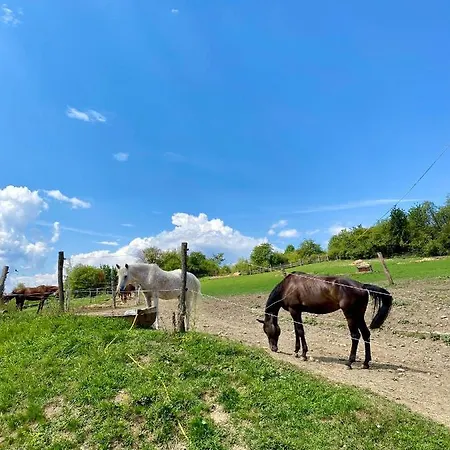 Holiday home Liptovske Chaty Liptovsky Mikulas