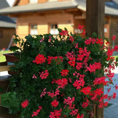 Holiday home Liptovske Chaty Liptovsky Mikulas