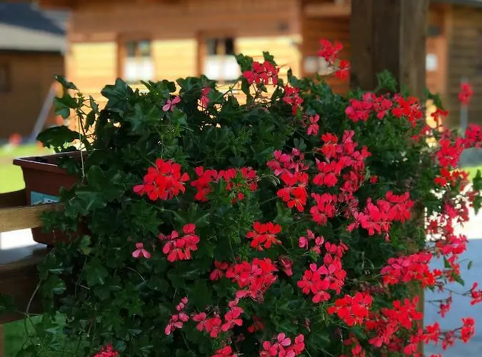 Chalet Liptovské Liptovský Mikuláš